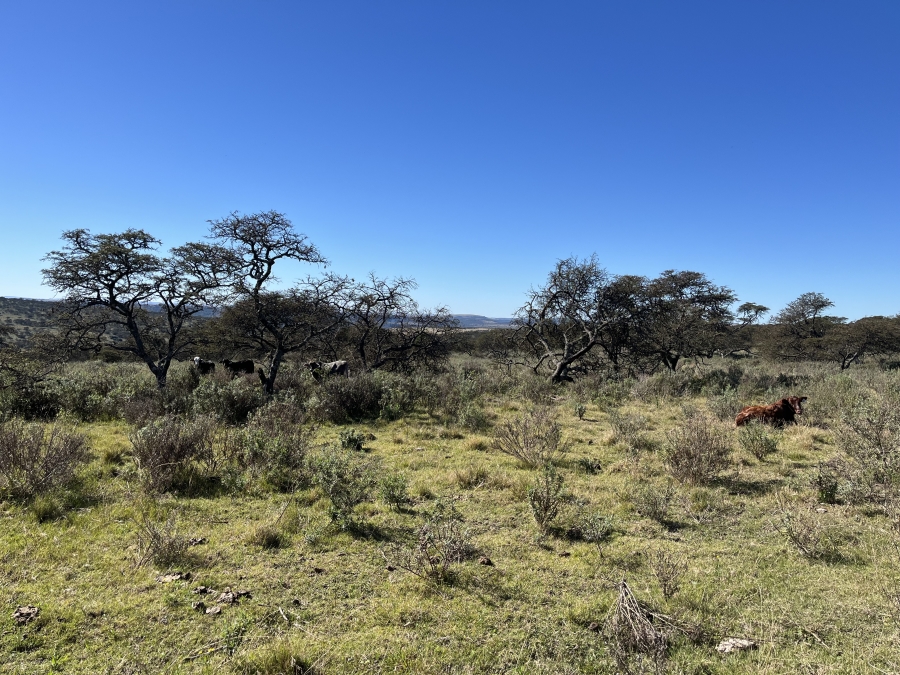 0 Bedroom Property for Sale in Stutterheim Rural Eastern Cape